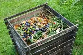 Setting Up Your Compost Bin